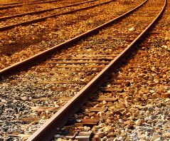 edozein lekutatik irisgarria